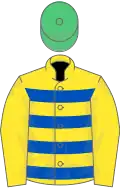 Yellow and royal blue hoops, yellow sleeves, emerald green cap