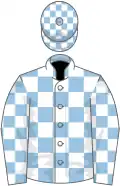 Light blue and white check, check cap