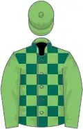 Light and dark green check, light green sleeves and cap