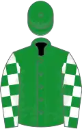 Green, white checked sleeves