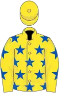 Yellow, royal blue stars, yellow cap