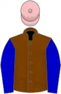 Chocolate, blue sleeves, pink cap