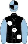 Black, large white spots, light blue sleeves, light blue and black quartered cap
