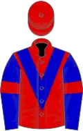 Red, blue chevron and sleeves, red armlets