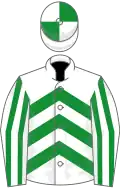 White, emerald green chevrons, striped sleeves, quartered cap
