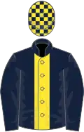 Dark blue, yellow stripe, check cap