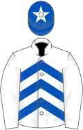 White, royal blue chevrons, pink cap