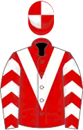 Red, white chevron, white chevrons on sleeves, quartered cap