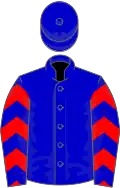 Blue, black upside down chevron and chevrons on sleeves