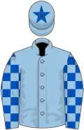 Light blue, royal blue star, checked sleeves, light blue cap, royal blue star