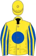 Yellow, royal blue disc, royal blue and yellow striped sleeves