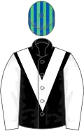 Black, white chevron and sleeves, em green and royal blue striped cap