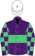 Purple, emerald green hoop, checked sleeves, white cap