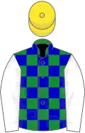 Green and blue checked, white sleeves, yellow cap