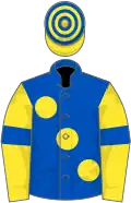 Royal blue, large yellow spots, yellow sleeves, royal blue armlets, hooped cap