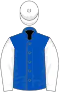 Royal blue, white stripes on back, White sleeves and cap