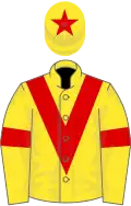 Yellow, Red chevron, Red armlets, Red star on cap
