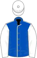 Royal blue, white seams, white sleeves and cap