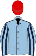 Light blue, dark blue seams, striped sleeves, red cap