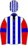 Blue and white stripes, red sleeves, blue armlets