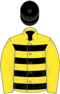 Yellow and black hoops, yellow sleeves, black cap