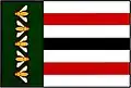 Flag of Pátek