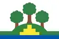 Flag of Přepychy