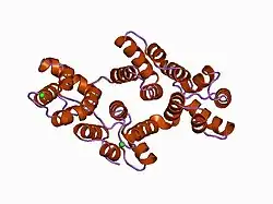 1ann: ANNEXIN IV