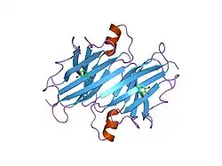 1e5a: STRUCTURE OF HUMAN TRANSTHYRETIN COMPLEXED WITH BROMOPHENOLS: A NEW MODE OF BINDING