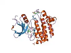 1qpc: STRUCTURAL ANALYSIS OF THE LYMPHOCYTE-SPECIFIC KINASE LCK IN COMPLEX WITH NON-SELECTIVE AND SRC FAMILY SELECTIVE KINASE INHIBITORS