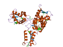 2oni: Catalytic Domain of the Human NEDD4-like E3 Ligase