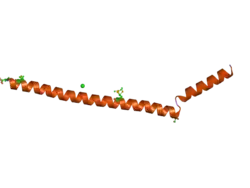2q2f: Structure of the human Selenoprotein S (VCP-interacting membrane protein)