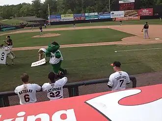 Prince George's Stadium (Bowie Baysox)
