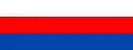 Flag of Gmina Brzesko
