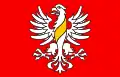 Flag of Gmina Wiżajny