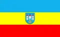 Flag of Radziejów