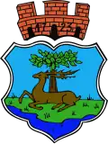 Coat of arms of Ryn