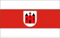 Flag of Sierpc