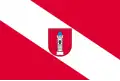 Flag of Wieluń