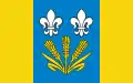 Flag of Gmina Chąśno