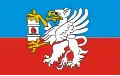 Flag of Łęczyński County