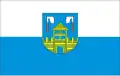 Flag of Żniński County