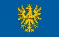 Flag of Cieszyński County