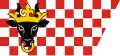 Flag of Kaliski County