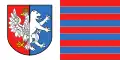 Flag of Lubartowski County