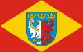 Flag of Pabianice County