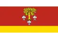 Flag of Poddębicki County