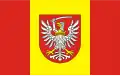 Flag of Toruński County