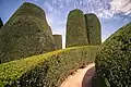 Yew Garden from the path to the Mount