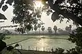 Paddy fields on SE of lake, Jan '21